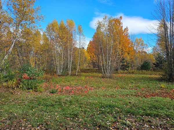 0 Racine Rd, Milton, VT for sale - Primary Photo - Image 1 of 5