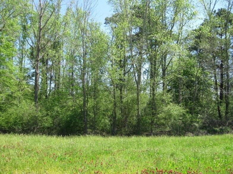 0 E Highway 84, Cowarts, AL 36312