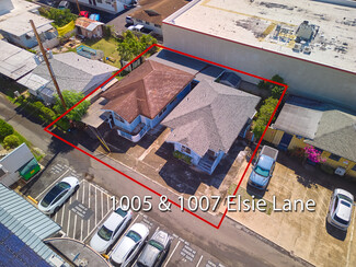 More details for 1005-1007 Elsie Ln, Honolulu, HI - Multifamily for Sale