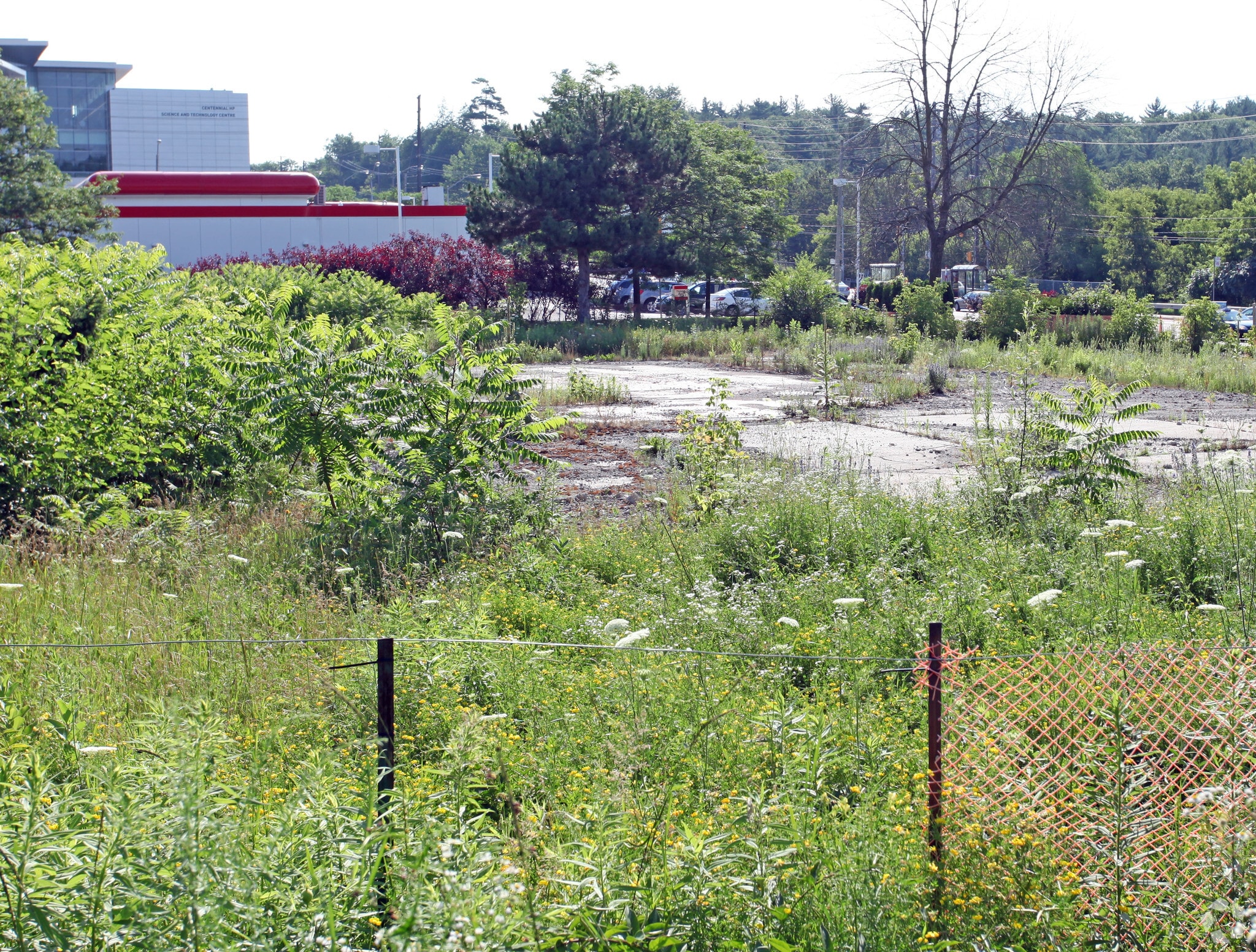 3070 Ellesmere Rd, Toronto, ON for sale Primary Photo- Image 1 of 1
