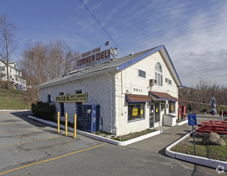 1037 Rt-17, Southfields, NY for sale - Primary Photo - Image 1 of 1