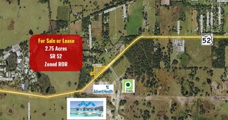 More details for 31157 State Road 52, San Antonio, FL - Land for Lease