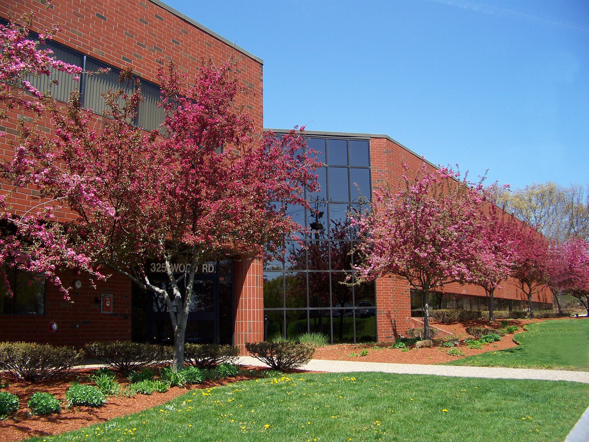 325 Wood Rd, Braintree, MA for lease Building Photo- Image 1 of 13