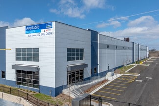 More details for 4510 W Ann Lurie Pl, Chicago, IL - Industrial for Sale