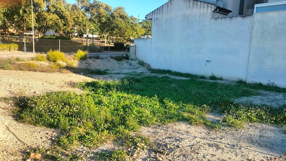 Land in Molina de Segura for sale - Building Photo - Image 2 of 10