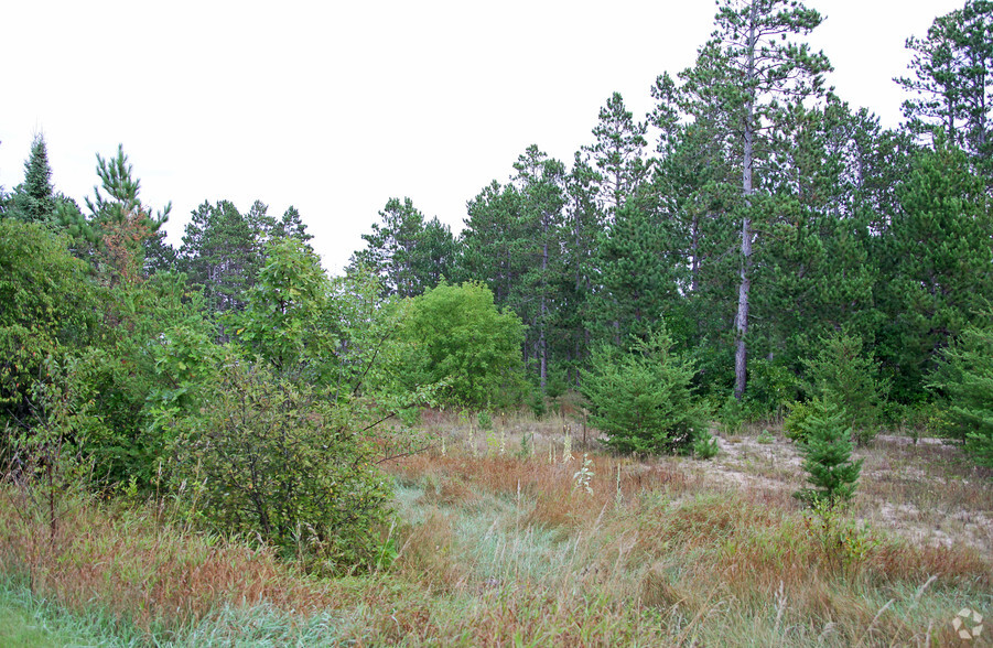 Highway 71, Lake George, MN for sale - Primary Photo - Image 1 of 1