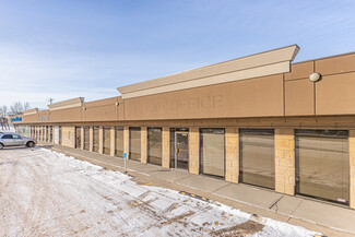 More details for 4528 99 St NW, Edmonton, AB - Industrial for Lease