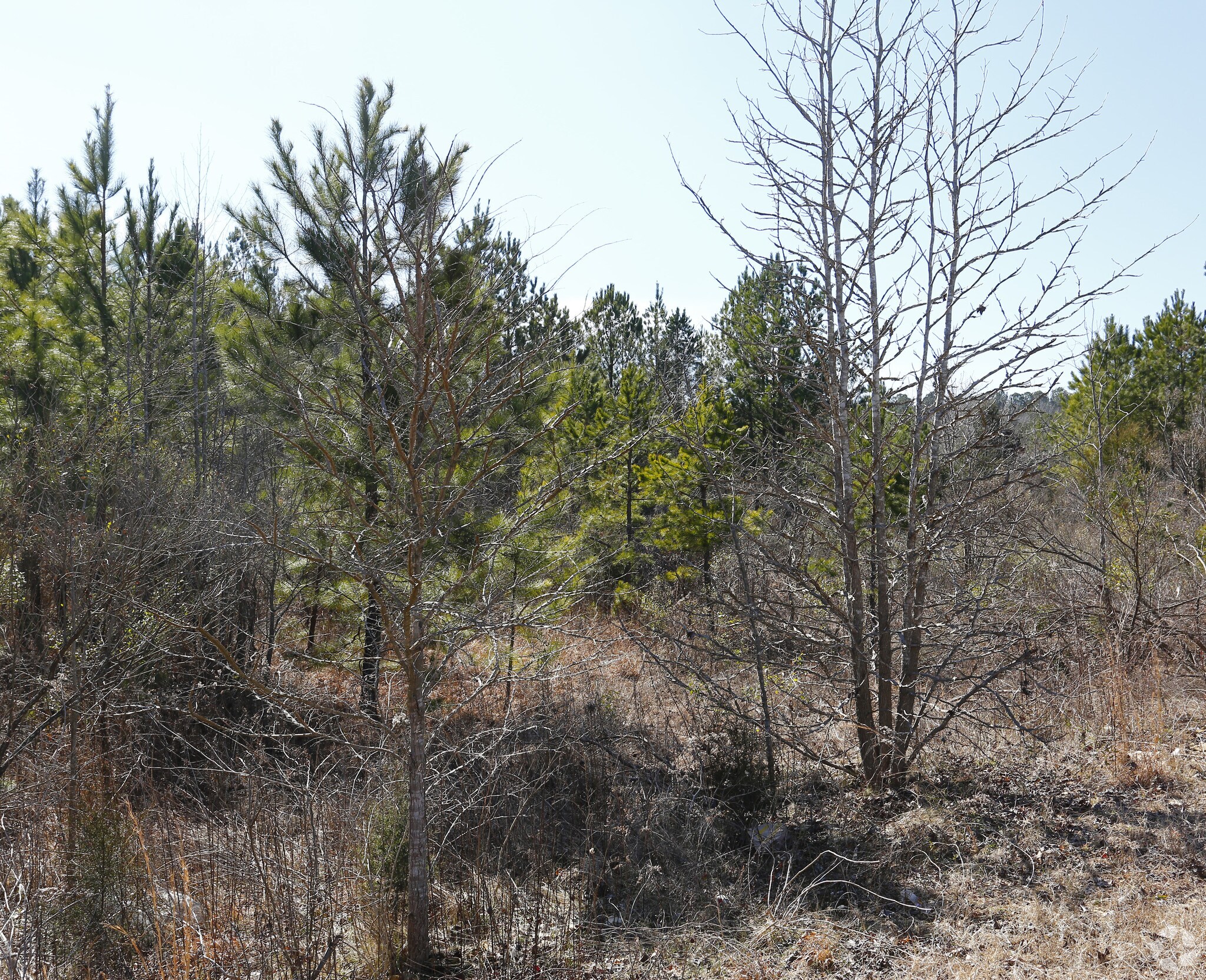 NC 24-27 Hwy E, Midland, NC for sale Primary Photo- Image 1 of 1