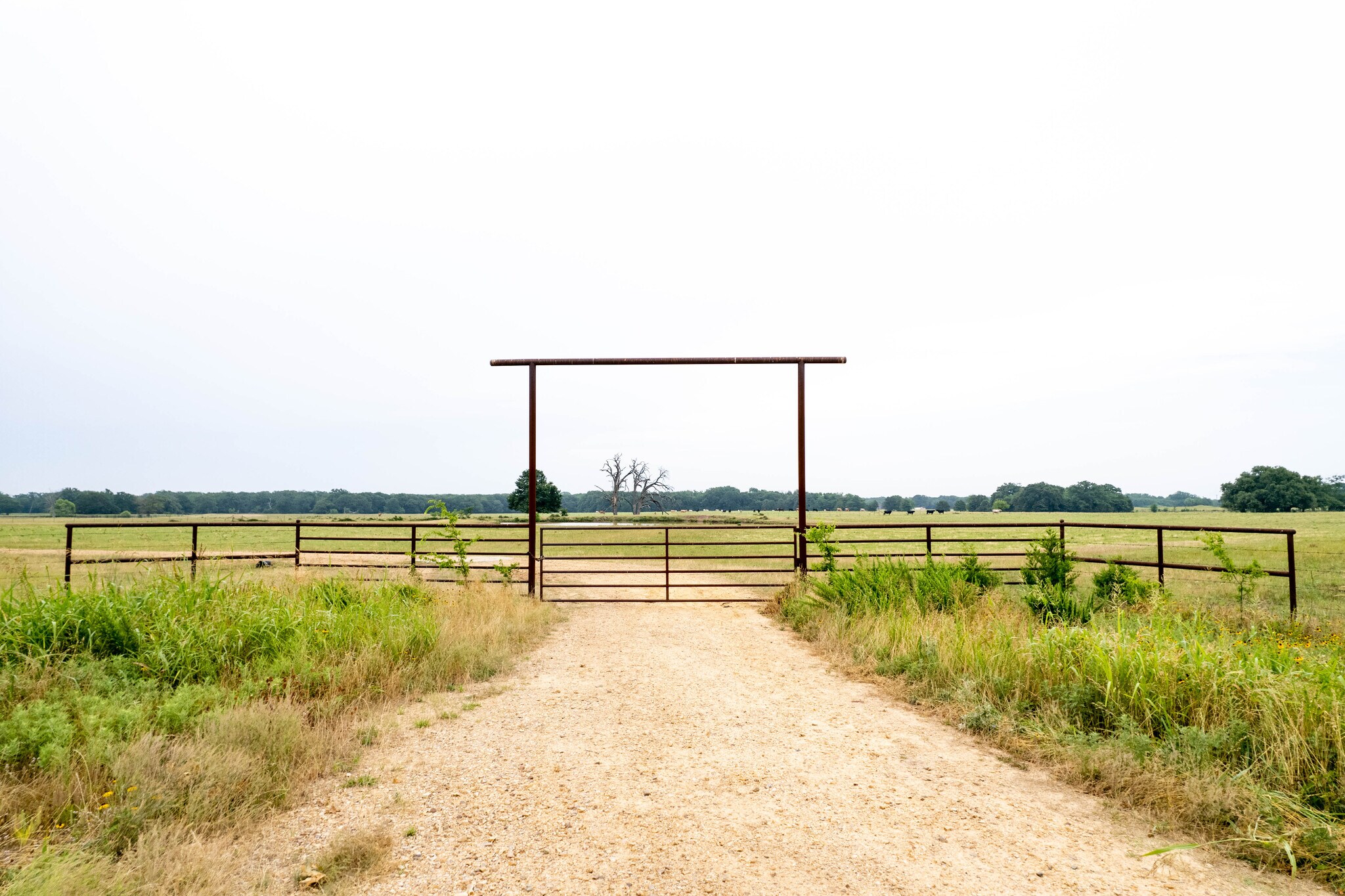 CR 1120/1129, Cumby, TX for sale Primary Photo- Image 1 of 1