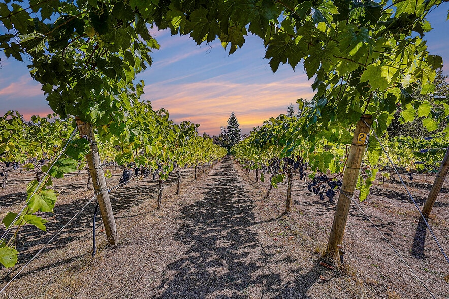 1673 Woodland Dr, Port Townsend, WA for sale - Building Photo - Image 1 of 99