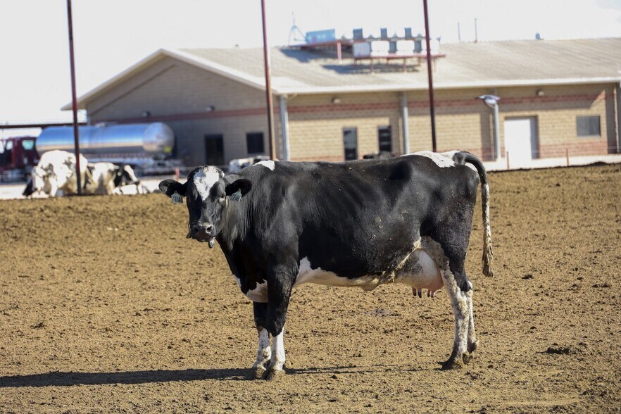 2300 Co. Rd. 628, Hart, TX 79043 +/5,360 Ac. Dairy & Farmland, Hart