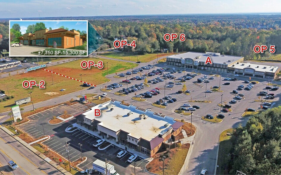 1250 Chapin Rd, Chapin, SC for lease - Primary Photo - Image 1 of 2