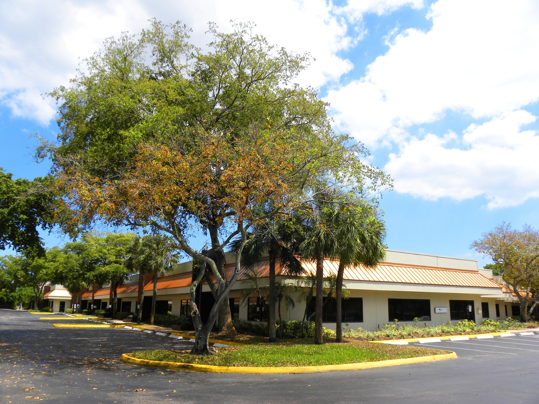 6400-6464 NW 5th Way, Fort Lauderdale, FL for lease Building Photo- Image 1 of 10