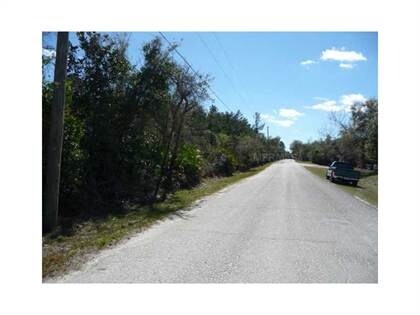 Cunningham Rd & Highbanks Rd, Debary, FL for sale Primary Photo- Image 1 of 1