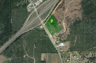 More details for NE I-65 & Hwy 41, Repton, AL - Land for Sale