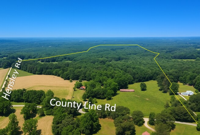 7286 County Line Rd, Lula, GA for sale Primary Photo- Image 1 of 1