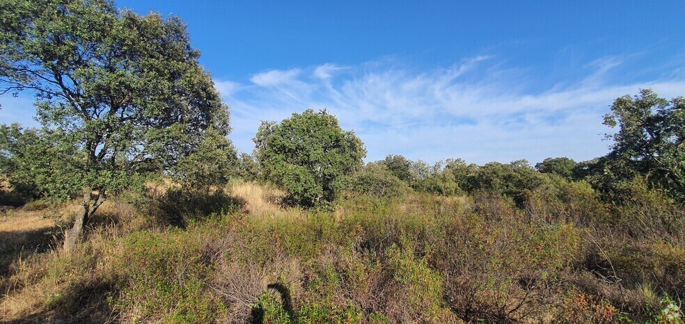 Land in Hormigos, Toledo for sale - Building Photo - Image 2 of 18