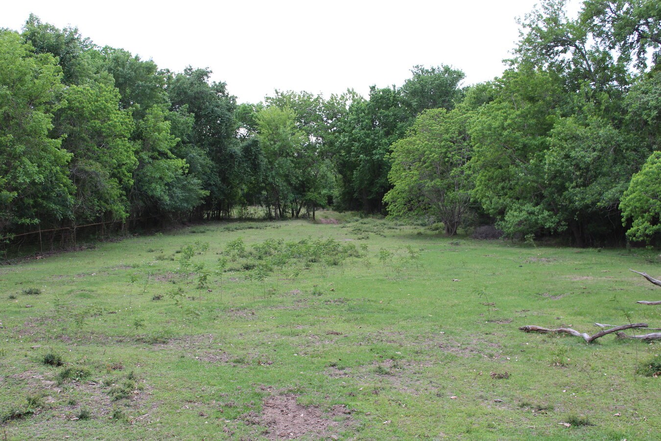 FM 710, Ganado, TX 77962