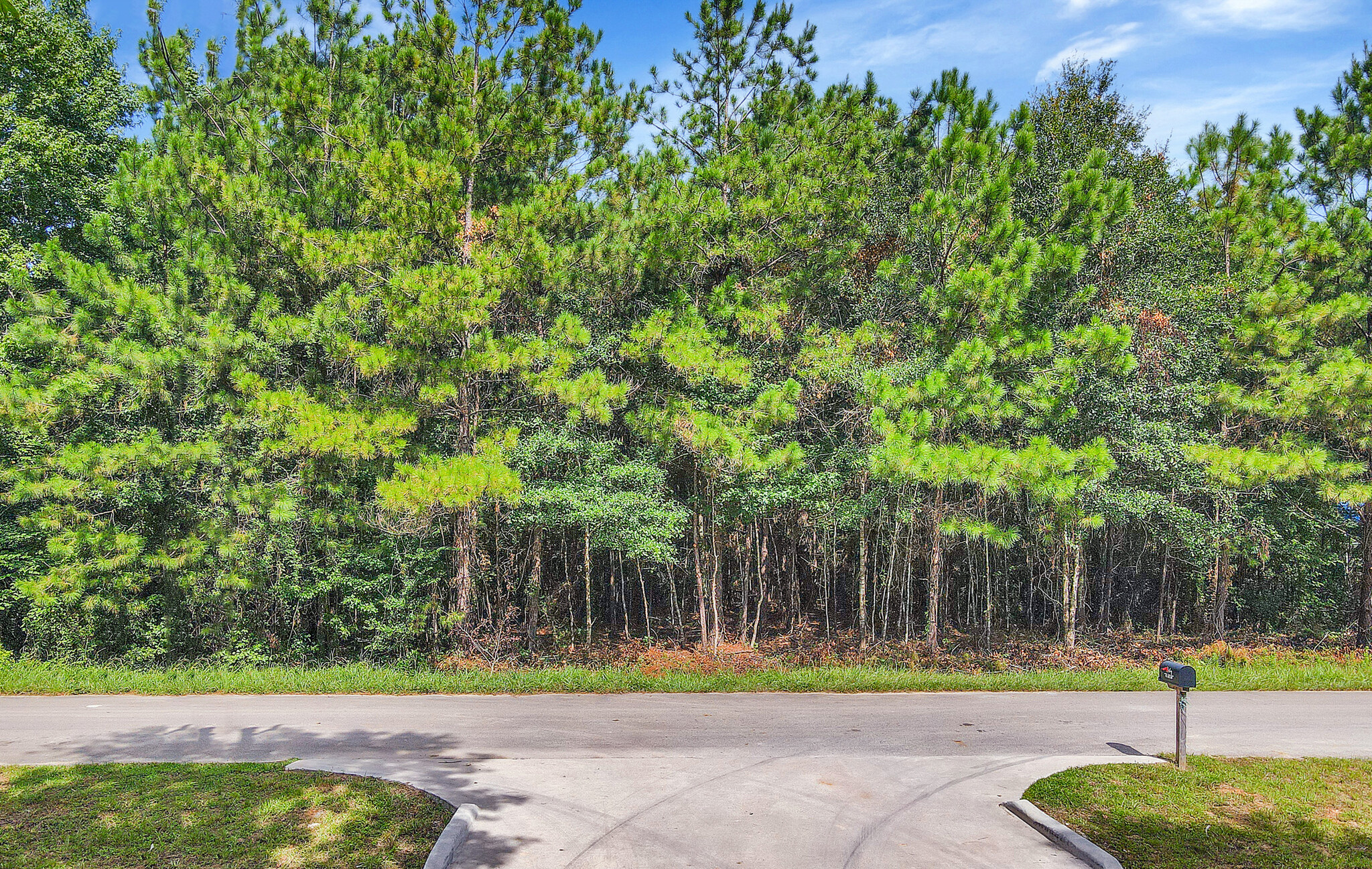 12306 Rebel Rd, Cleveland, TX for sale Primary Photo- Image 1 of 9