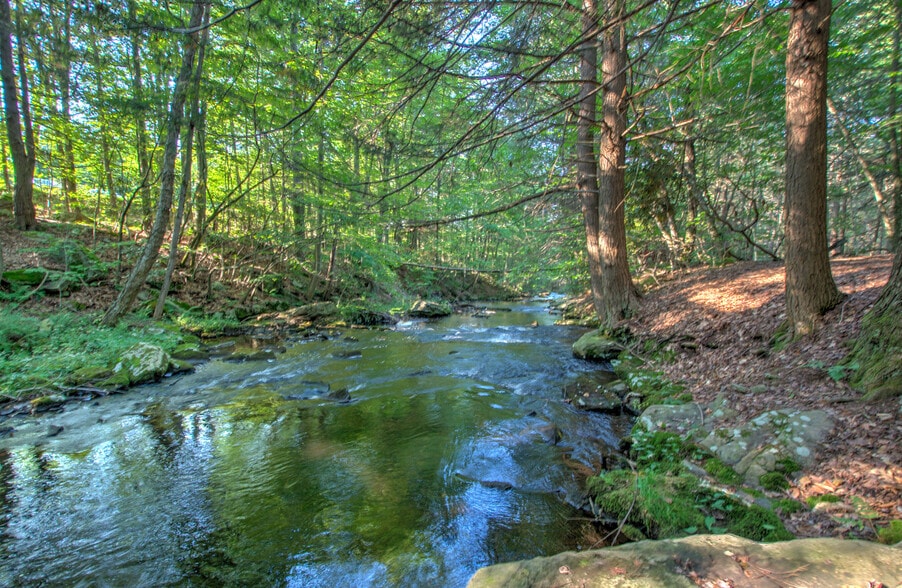 167 Route 191, Cresco, PA for lease - Building Photo - Image 3 of 61