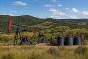Brac-Pickens Property - Mining Land
