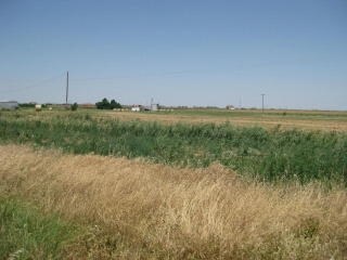 62/82 Idalou Hwy, Idalou, TX for sale - Primary Photo - Image 1 of 1