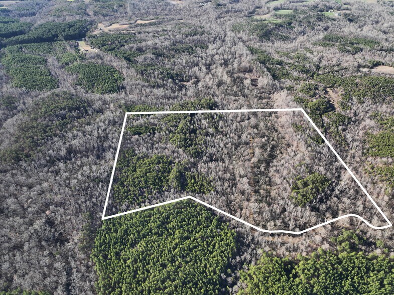 00 Weadon Rd, Blanch, NC 27212 Land for Sale