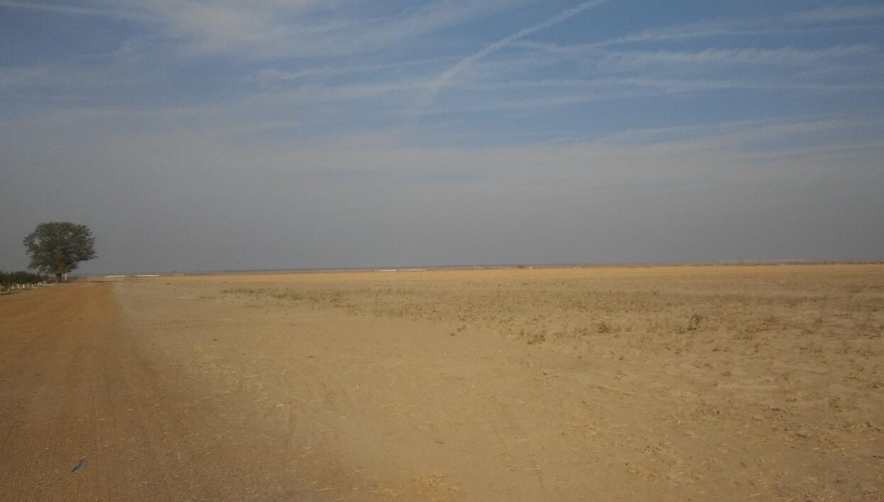 27564 7th Standard Rd, Buttonwillow, CA 93206 Land for Sale