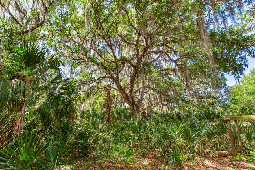 0 Jameson Road, Lithia, FL for sale - Primary Photo - Image 1 of 11