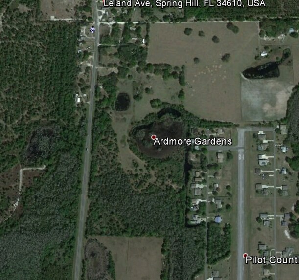 19300 Leland Ave, Spring Hill, FL for sale Primary Photo- Image 1 of 1