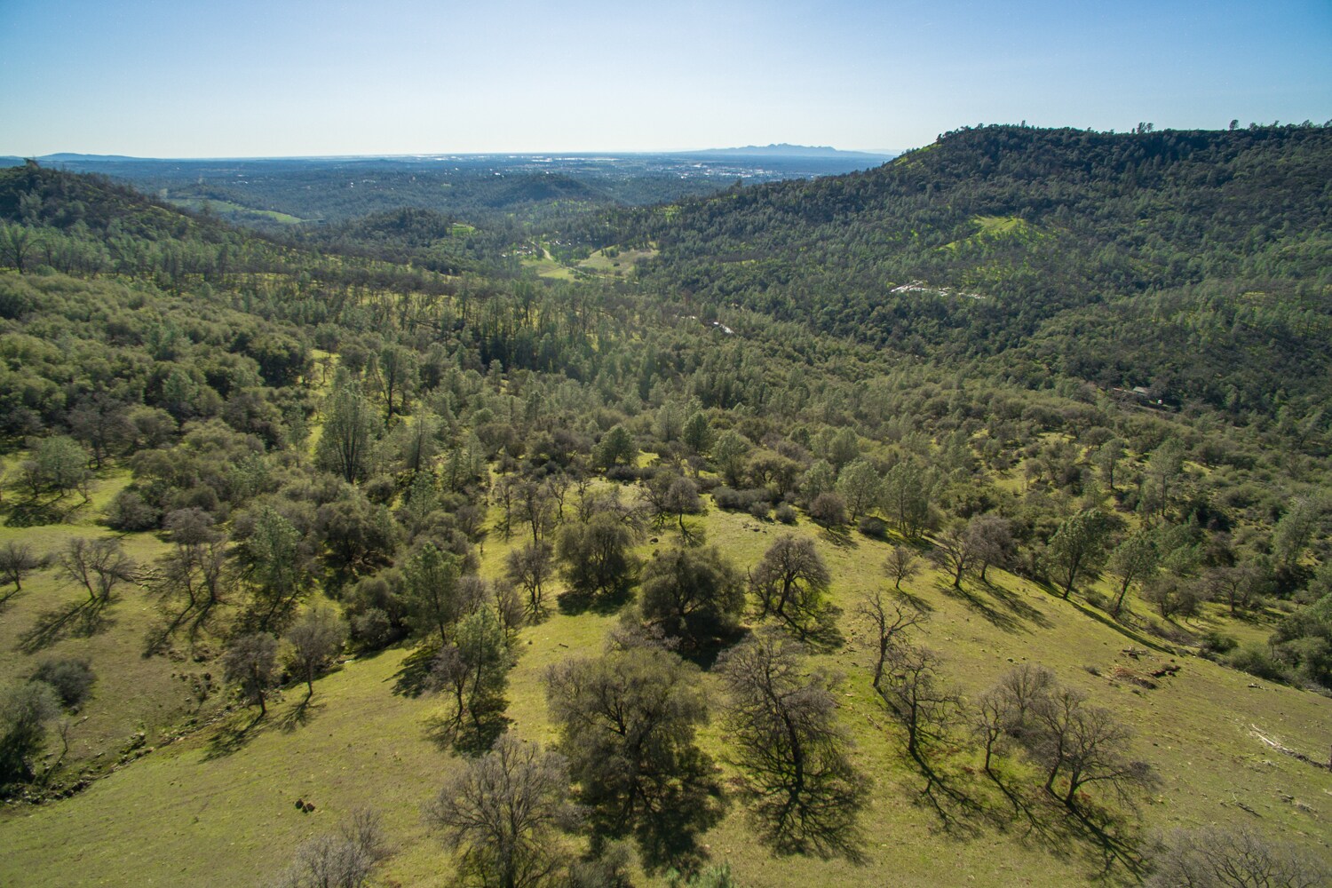 1484 Oregon Gulch, Oroville, CA 95965 Land for Sale