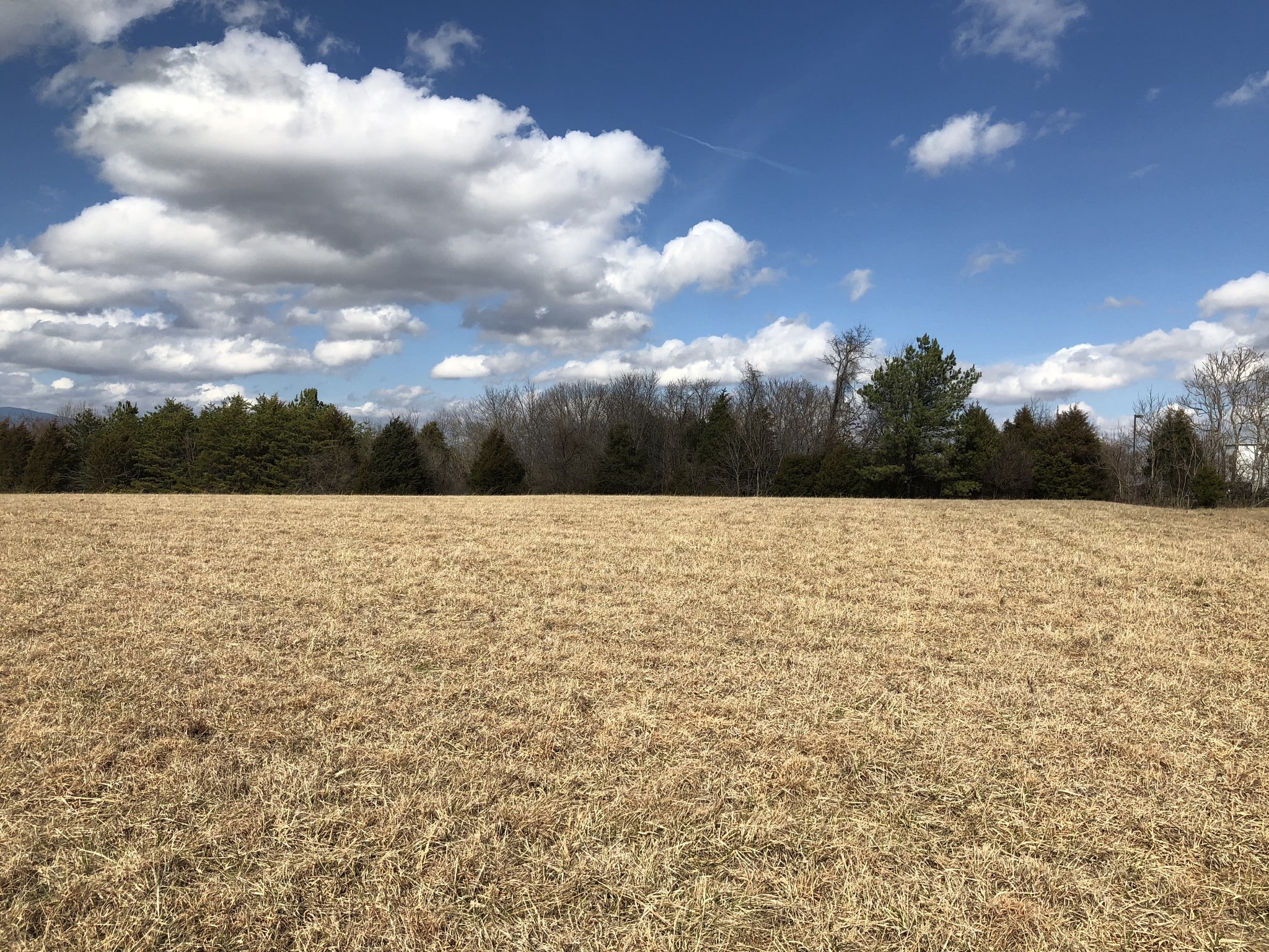 Brockman Park Drive, West & East Commerce St, Amherst, VA for sale Other- Image 1 of 3