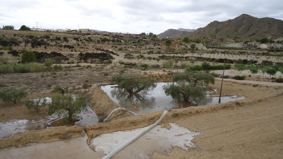 Land in Abanilla for sale - Building Photo - Image 2 of 31