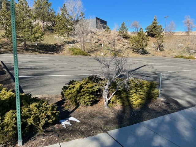 4890 N Virginia St, Reno, NV for lease - Building Photo - Image 3 of 4