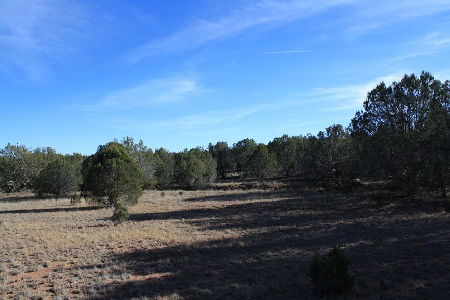 35323242 113.390073, Hackberry, AZ 86411