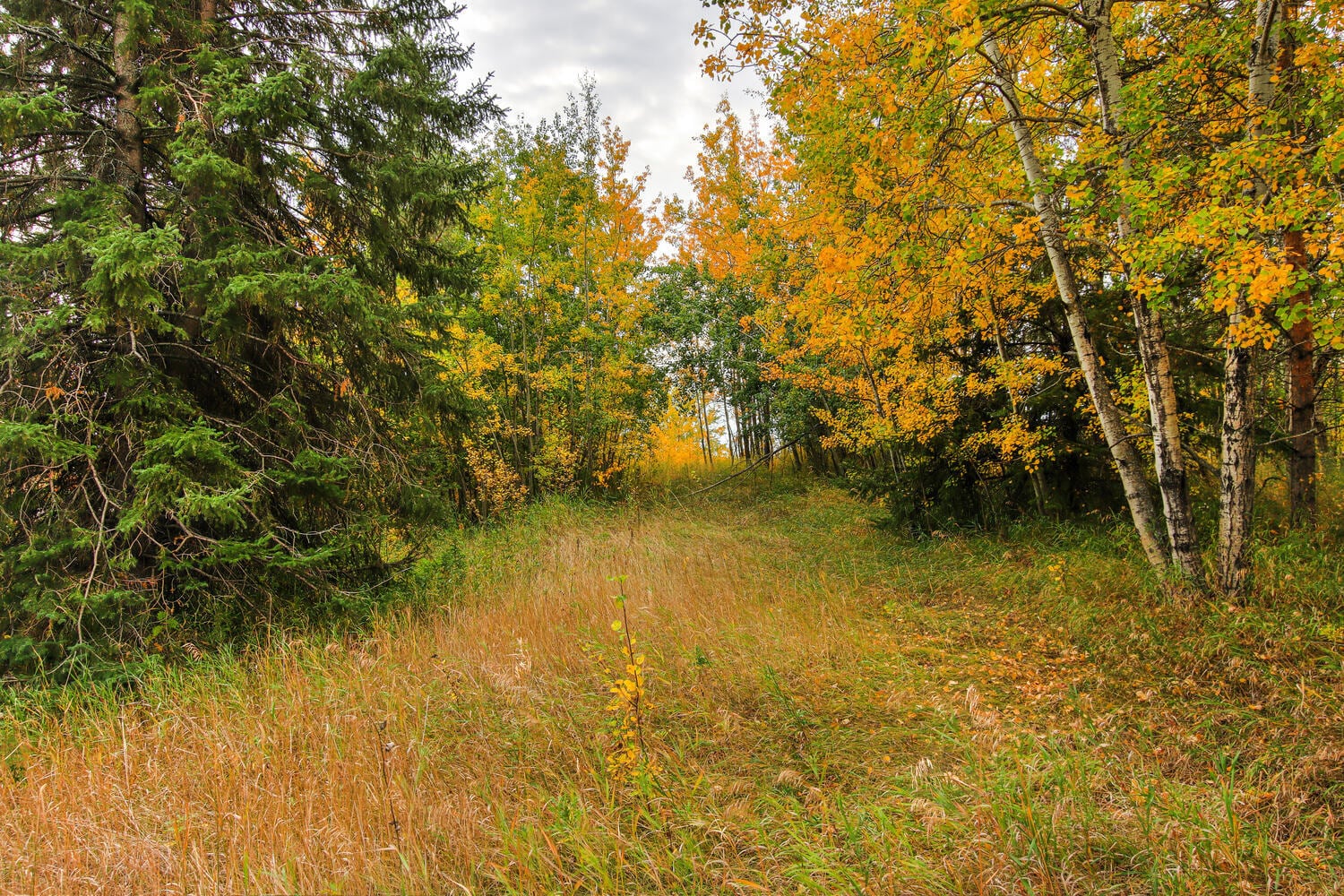 52257 Rge Rd 231, Strathcona County, AB for sale Primary Photo- Image 1 of 1