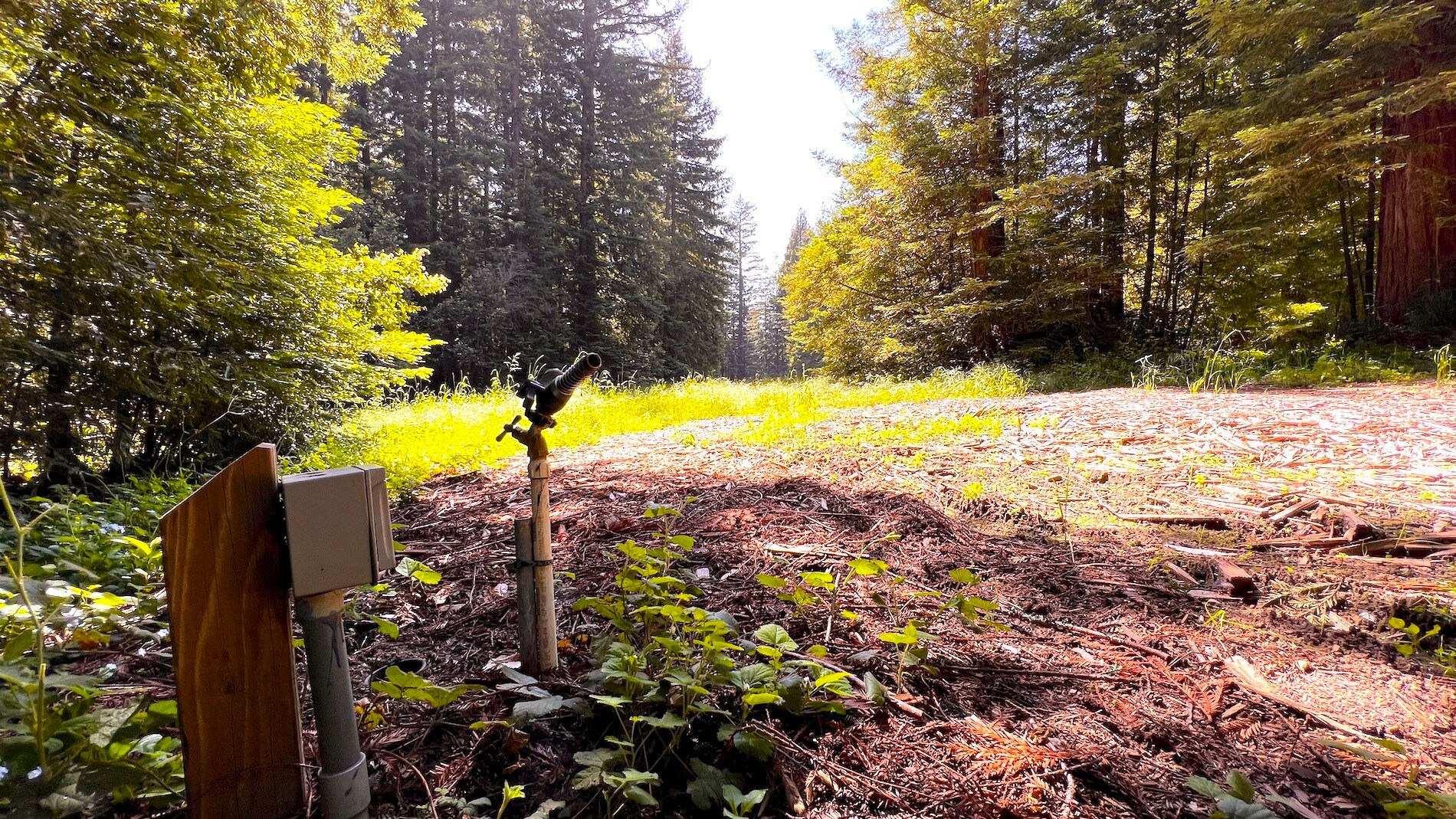 3675 Bonny Doon Rd, Santa Cruz, CA 95060 Bonny Doon Equestrian Park