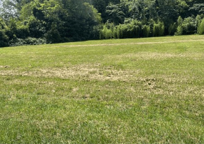 170 S Jeff Davis Dr, Fayetteville, GA for sale - Building Photo - Image 3 of 13