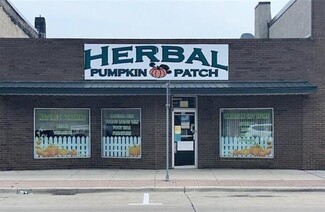 More details for 119 Main St S, Hutchinson, MN - Retail for Sale