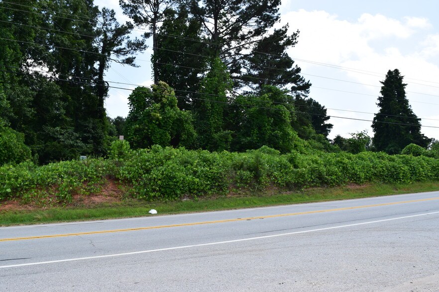 Tract 4 & Hwy 123, Toccoa, GA for sale - Other - Image 1 of 1