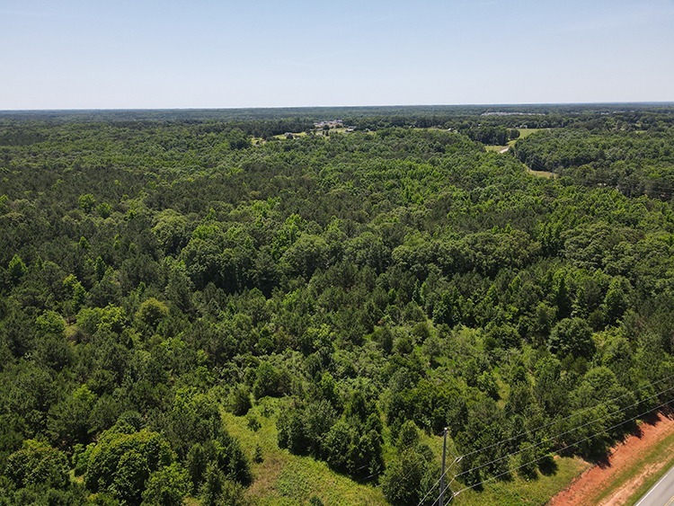 North Unity Grove Road, Locust Grove, GA for sale - Building Photo - Image 2 of 3