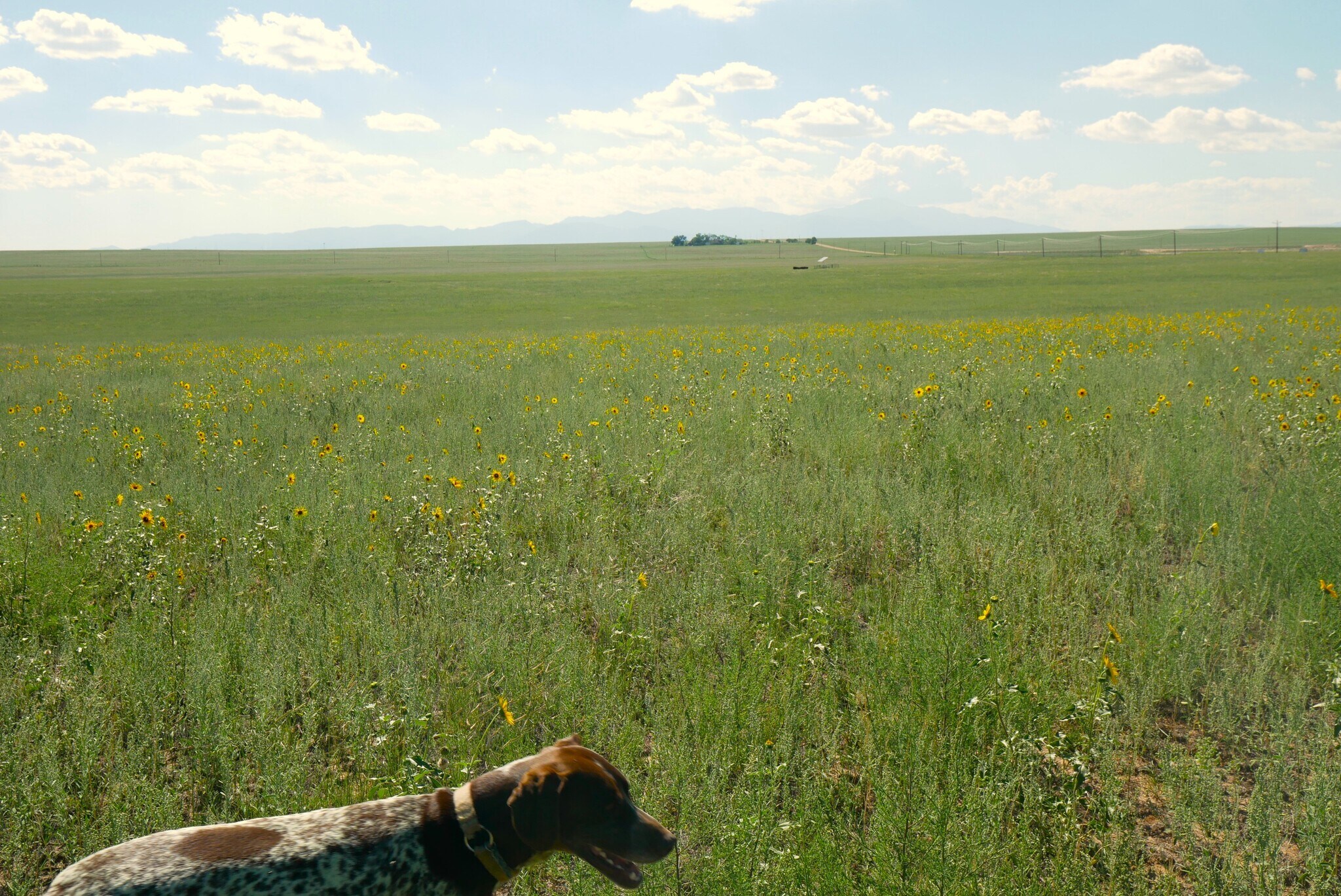 19625 Drennan Rd, Colorado Springs, CO for sale Building Photo- Image 1 of 1