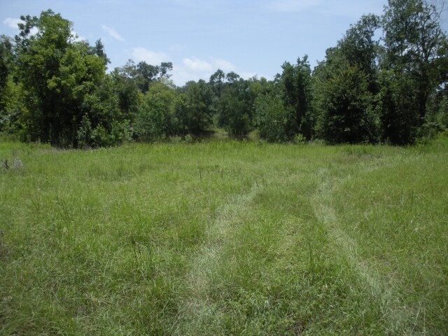 12725 FM 1097 W, Willis, TX for sale Primary Photo- Image 1 of 1