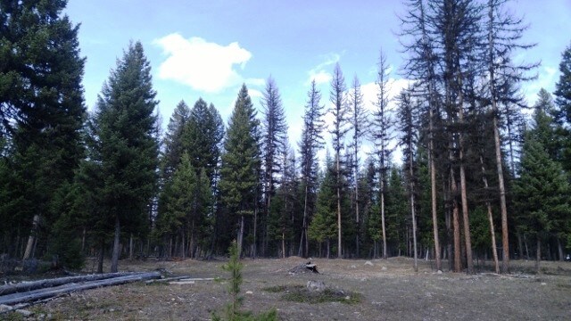 View Photo