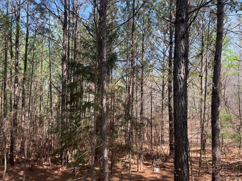 16 Unbridled Rd SE, Rome, GA for sale - Building Photo - Image 3 of 7