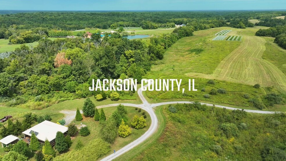 295 Panthers Den Rd, Makanda, IL for sale - Commercial Listing Video - Image 2 of 81