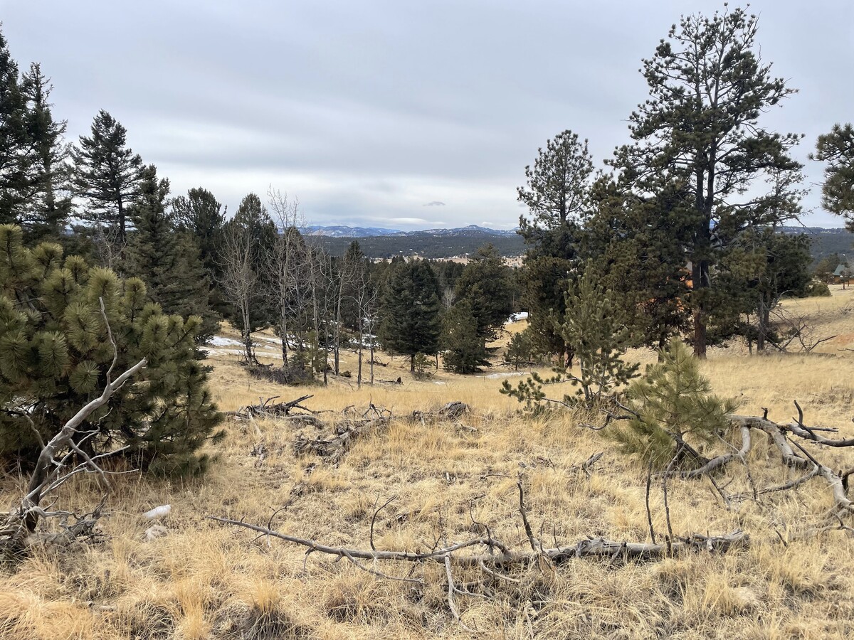 23 Southpark Rd, Florissant, CO 80816 | LoopNet