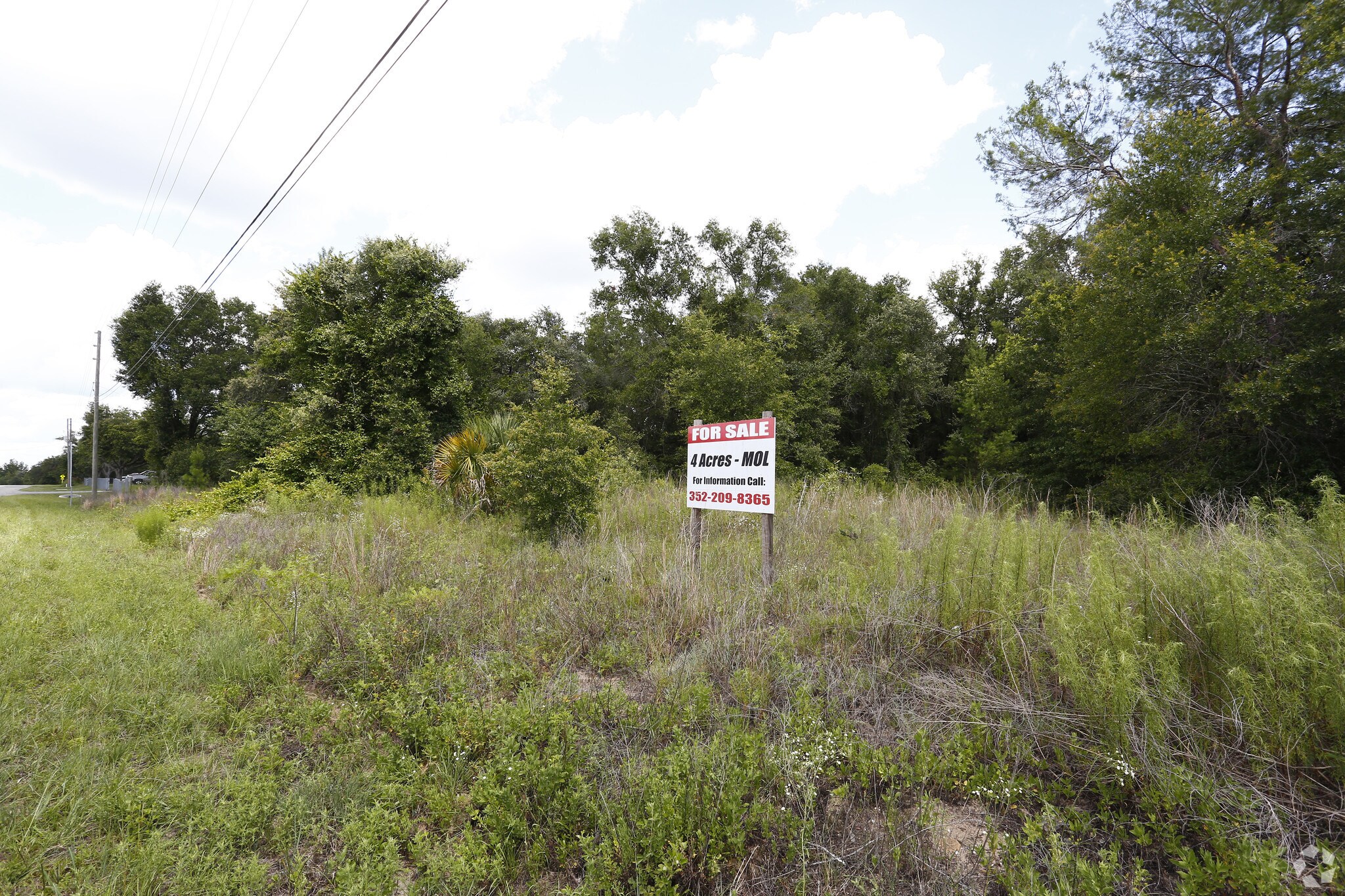1234 E Overdrive Cir, Hernando, FL for sale Primary Photo- Image 1 of 1