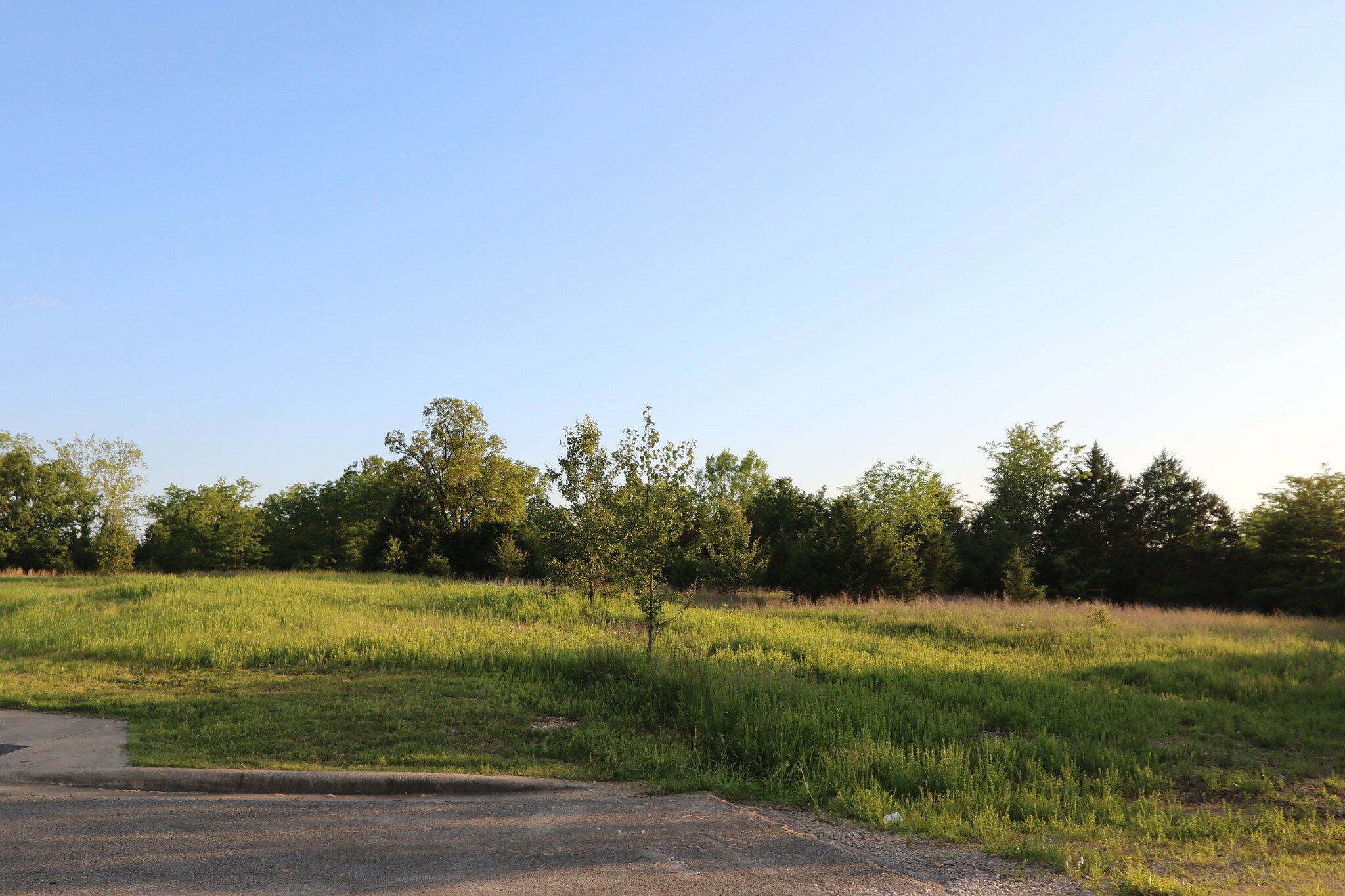 Gretna Rd, Branson, MO 65616