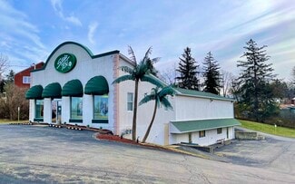 More details for Steubenville Pike  2+Acre Redevelopment – for Sale, McKees Rocks, PA